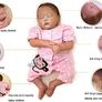 Reborn Doll Image 3