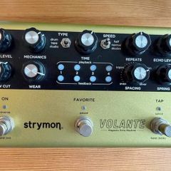 Strymon Volante