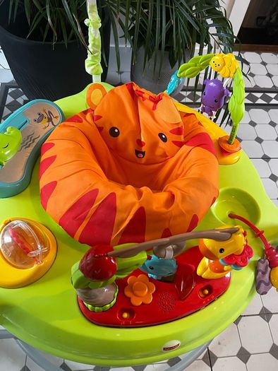 Baby Bouncer
