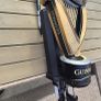 Guinness Hero Harp Beer Tap Image 2