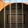 Freeman Irish Flag Accoustic Guitar Image 2