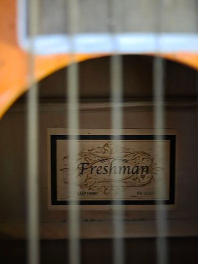 Freeman Irish Flag Accoustic Guitar