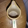 Old Milk Jug Image 6