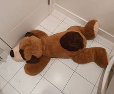 Large Dog Teddy
