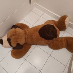 Large Dog Teddy