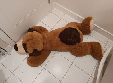 Large Dog Teddy