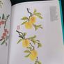 An Introduction to Chinese Brush Painting Image 6