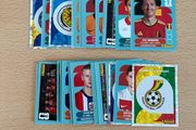 Panini World Cup 2026 Stickers