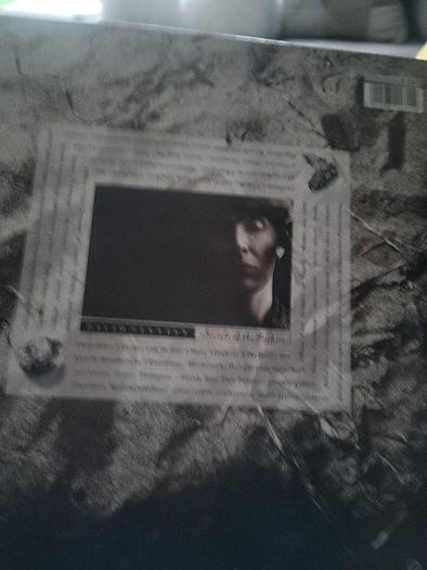 David Sylvian secret of the beehive uk1987 vinyl