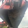 Road yard hydraulic sweeper Image 6