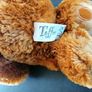 Teddy Bear Image 2