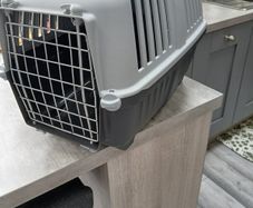 cat cage