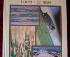 Cereal Pests & Diseases / 4th edition/ 1991