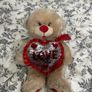Love Teddy Image 2
