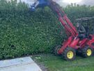 hedge cutting Image 3