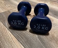 2 kg Fitness Dumbbells pair