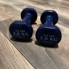 2 kg Fitness Dumbbells pair