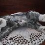 Grey Manx Cat Image 2