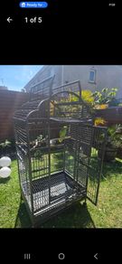 Large parrot bird cage