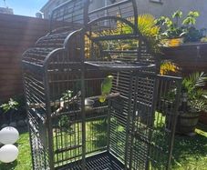Large parrot bird cage