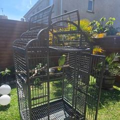 Large parrot bird cage