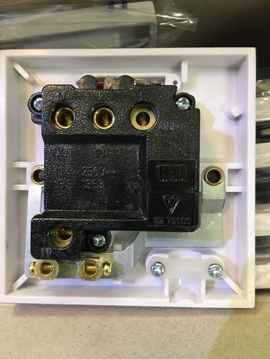 Double Pole 13 Amp Switched Spur Unit Neon