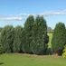 Hayestown
