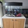 fish tank with stand, filter and heater Image 3