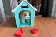 Our Generation Deluxe Dog House Playset