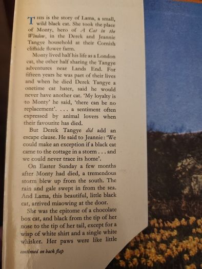 Lama  Derek Taynge. 1966 First Edition Hardback With Dustjacket 37.
