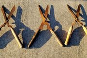 Antique trio of Garden shears