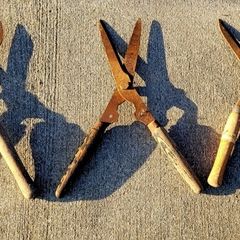 Antique trio of Garden shears