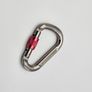 Alpidex Carabiner Image 4