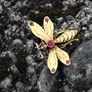 Antique Russian Art Nouveau Bee Brooch/Pendant Image 5