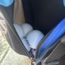 golf - Junior Golf Bag & Clubs Image 4