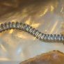 Betty & Biddy Baguette crystal cut bracelet Image 2