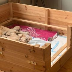 Whelping Box
