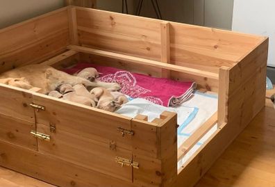 Whelping Box