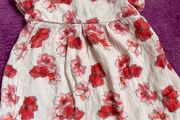 Zara dress 9-12m
