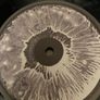 Nick Oliveri & Mondo Generator (Kyuss/QOTSA) - Dead Planet: SonicSlowMotionTrails Image 7