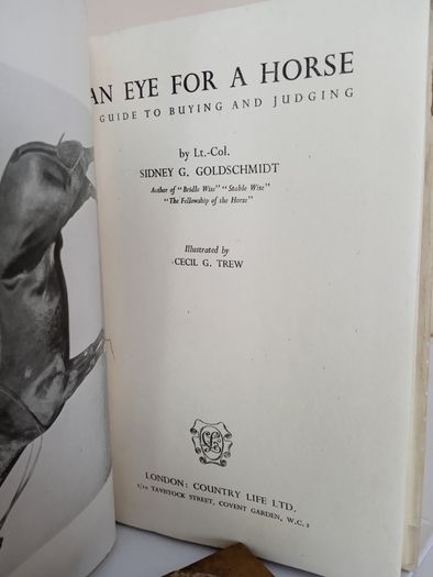 An Eye for a Horse: A Guide to Buying and Judging by Sidney G. Goldschmidt (PT257)