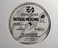 Luvspunge - Sexual Healing - Dance 2 Recordings - TOP Quality SIDES 90s HOUSE!