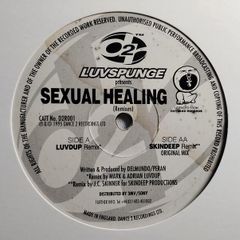 Luvspunge - Sexual Healing - Dance 2 Recordings - TOP Quality SIDES 90s HOUSE!