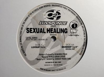 Luvspunge - Sexual Healing - Dance 2 Recordings - TOP Quality SIDES 90s HOUSE!