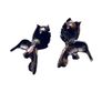 Marcasite Hummingbird Earrings Image 2