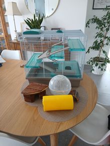 Hamster cage