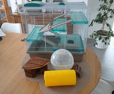 Hamster cage