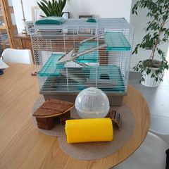 Hamster cage