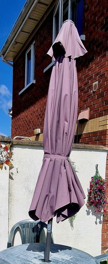 parasol