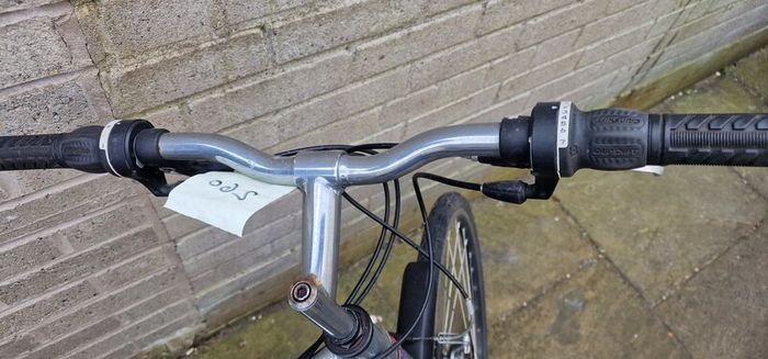 adult Bike